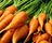 Carrots